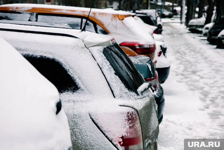 Первый снег в Москве прогнозируется синоптиками на 11 ноября