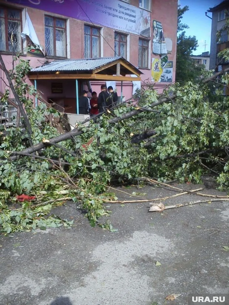 Жертв урагана в Москве можно было бы избежать, уверены эксперты