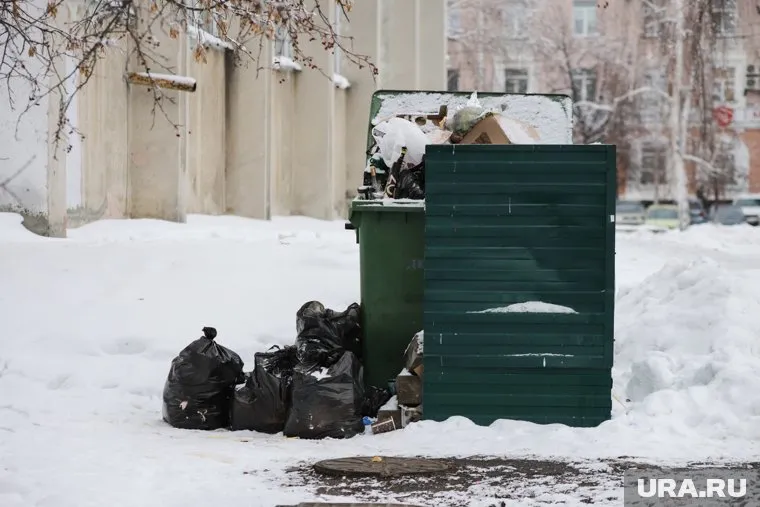 Мусорные баки, куда курганские учреждения складывают отходы, не вывозились с прошлого года