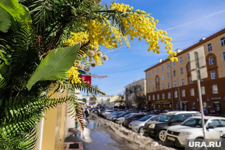 Снежные осадки ожидаются в северных районах региона