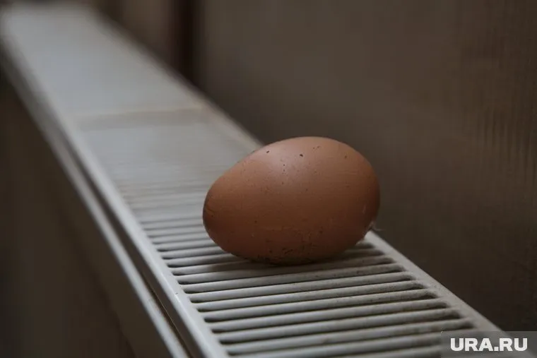 По словам горожан, атмосфера в квартирах напоминает тропики