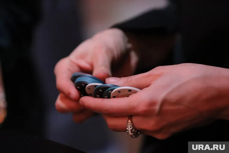 Нелегальное казино было обнаружено в Бердянске