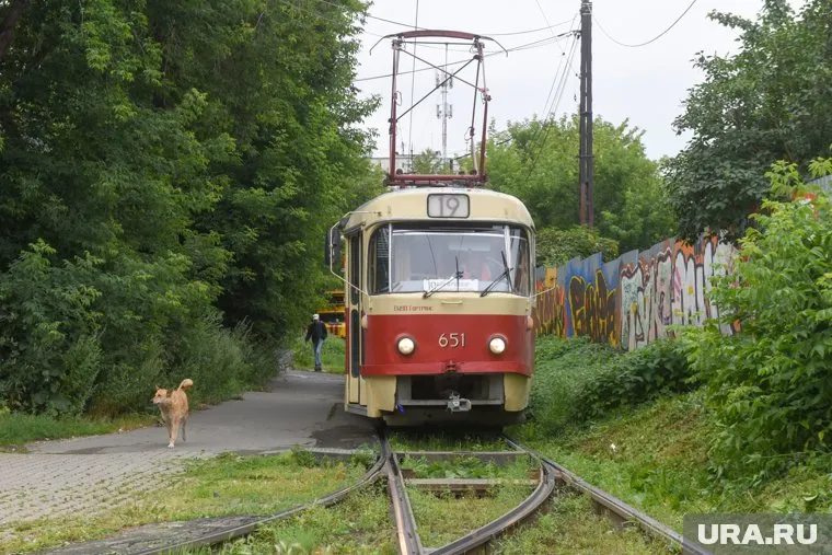 Банда из семи человек в масках напала на трамвай
