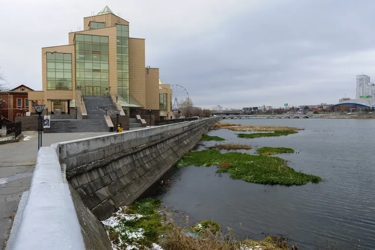 Заросли на реке Миасс. Челябинск, краеведческий музей, город челябинск, река миасс 