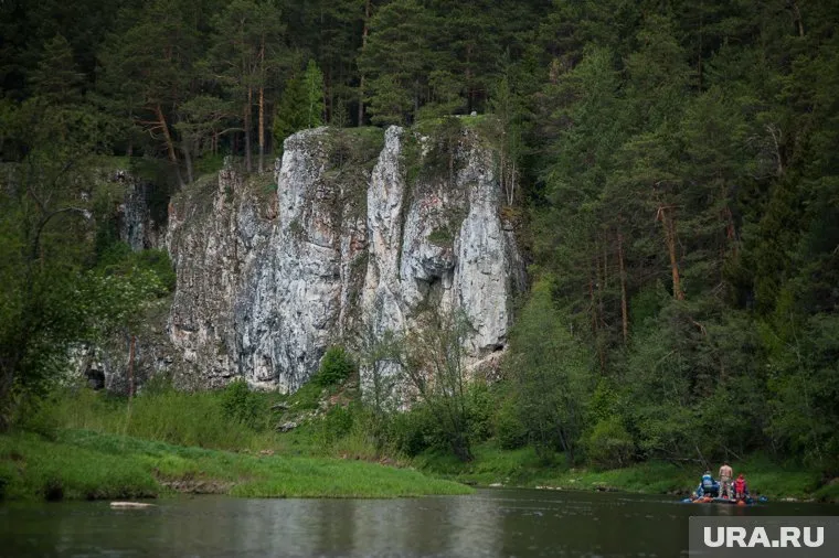 Два человека пропали в лесу в Челябинской области