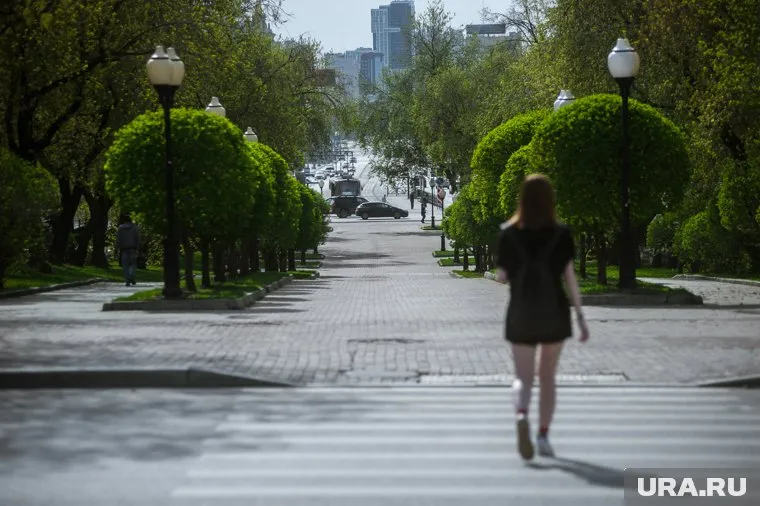 Ежедневный прирост зараженных не снижается