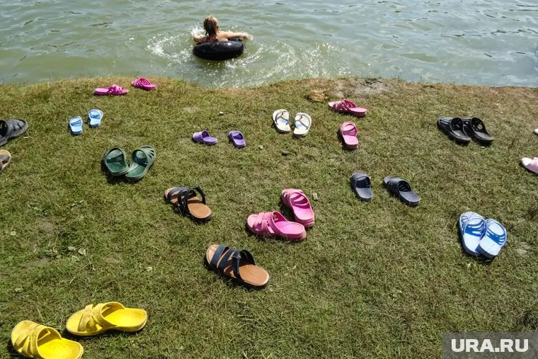 Сообщение рассылают учителя в родительских чатах