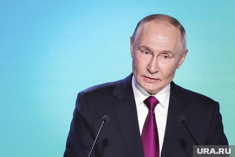 Путин заявил о возможном использовании плана Трампа для мира на Украине