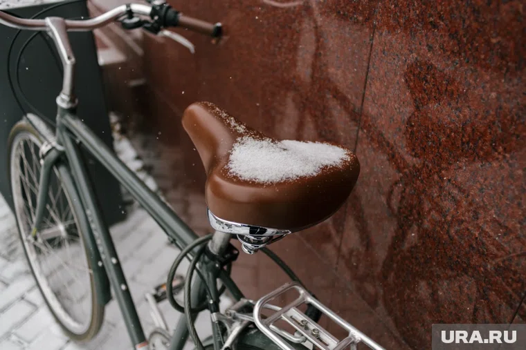 Днем снег ждет север и северо-восток области