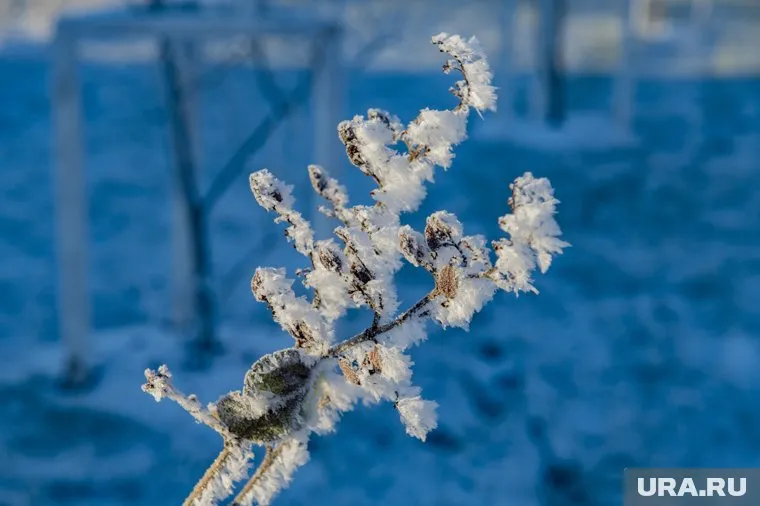 Морозы продержатся в регионе до 29 ноября