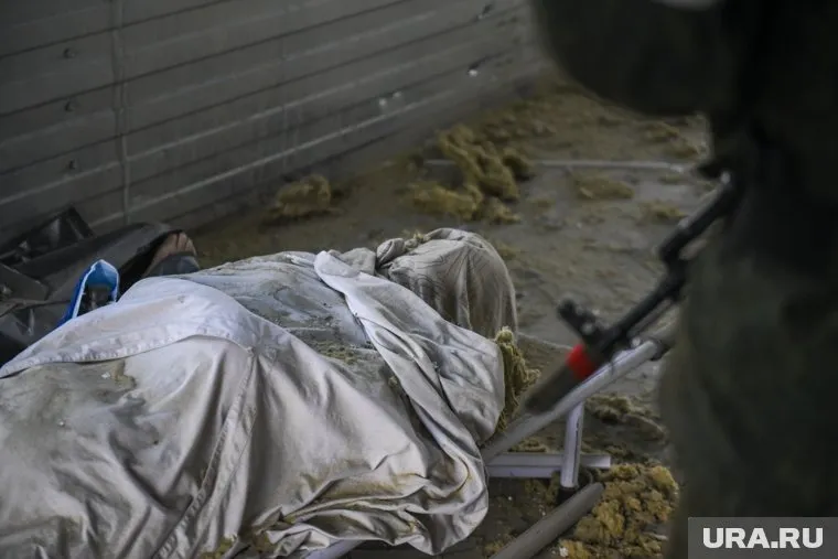 Около 5 тысяч детей погибли с начала конфликта Израиля и Палестины, пишет Almadeen