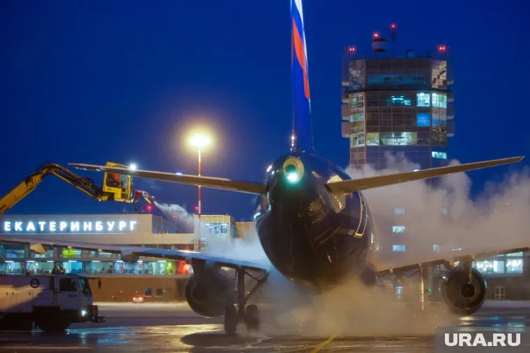 Самолет из Екатеринбурга улетел без пьяного курганца, задержанного полицией