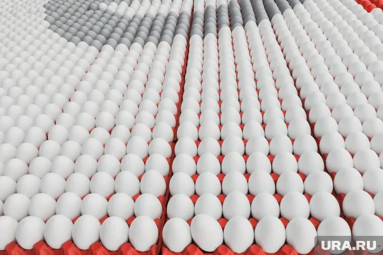 Торговые сети не будут вознаграждать за реализацию приобретенных яиц