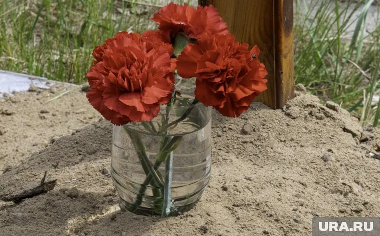 Могилки питомцев находятся рядом с кладбищем «Чернореченское-2»