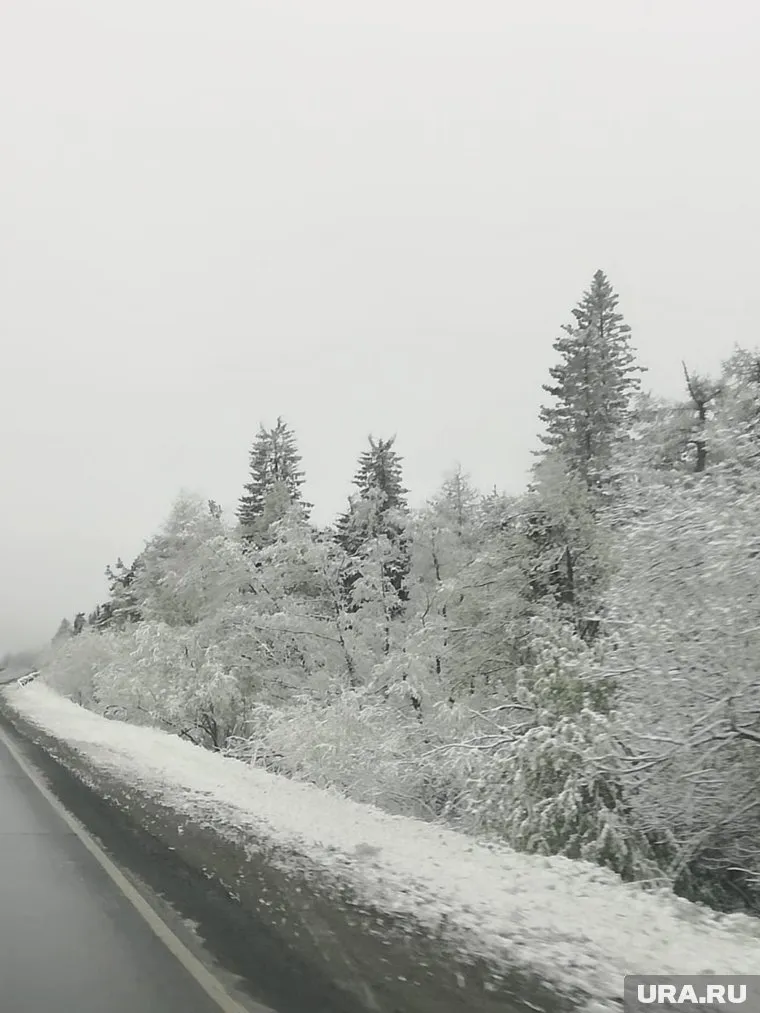 О снеге и граде предупреждали синоптики