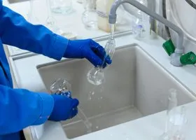 Фотография из галереи