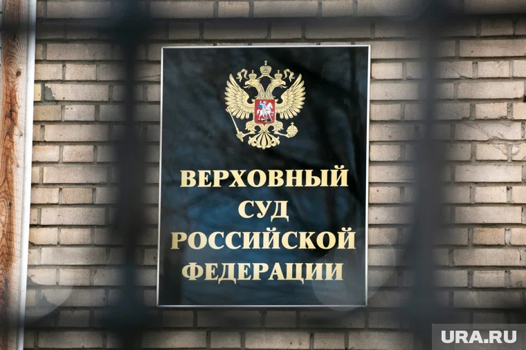 Для Верховного суда существуют риски при рассмотрении иска по делу Ларисы Долиной