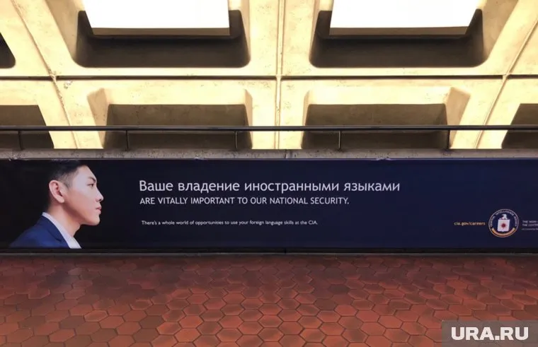 На ошибку обратили внимание пользователи соцсетей