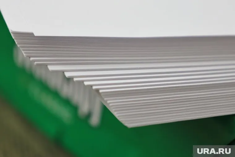 В Свердловской области за год больше всего выросли зарплаты в организациях по производству бумаги