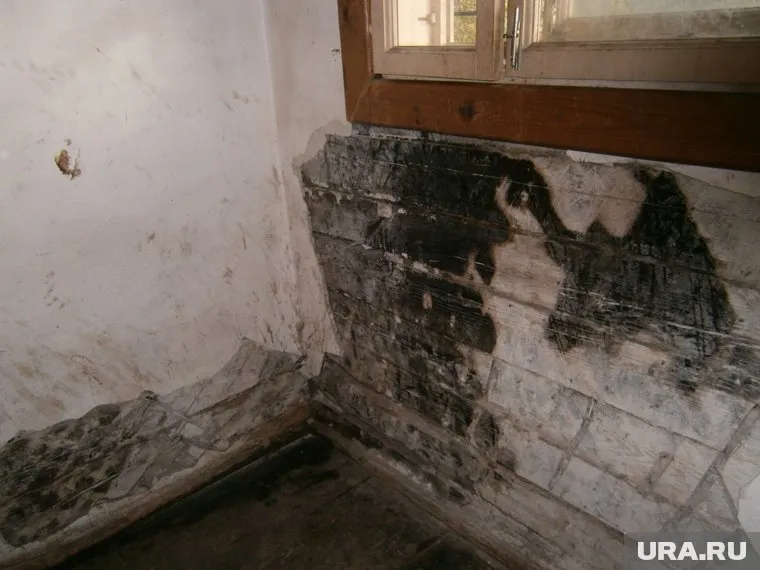 Почти аварийное здание пытаются продать не первый раз (архивное фото)