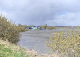 Свердловчанка заказала убийство 12-летней дочери в Челябинской области