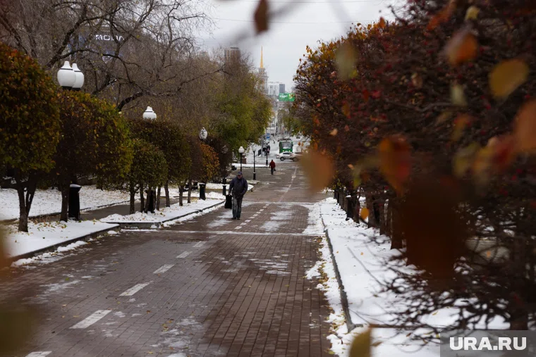 Синоптики предупредили о выпадении снега