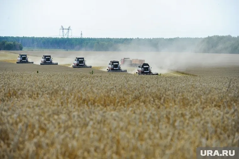 Аграрии региона в 2022 году использовали 23 млрд рублей инвестиций