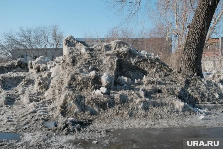 Шадринская компания «Дон» запустила асфальтовый завод, построенный с участием инвестиционного агентства Курганской области