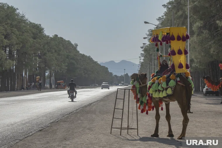 Туристам из России рекомендовали не делать фото и видео во время поездок в Иран