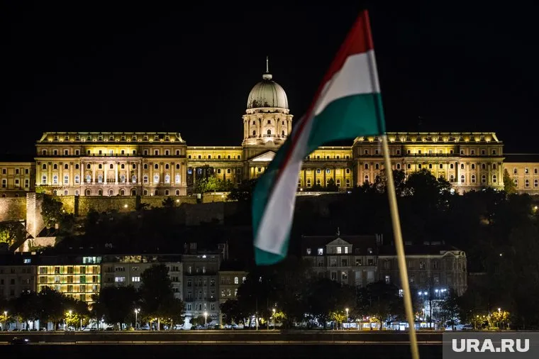 По мнению Кнутова, Венгрия готовит аннексию части Украины