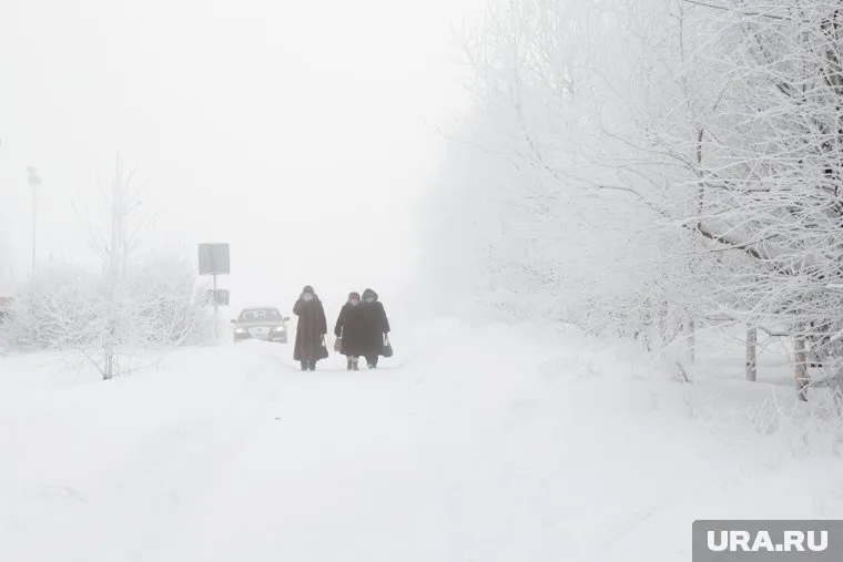 Роман Вильфанд рассказал, что похолодание в России придется на начало марта