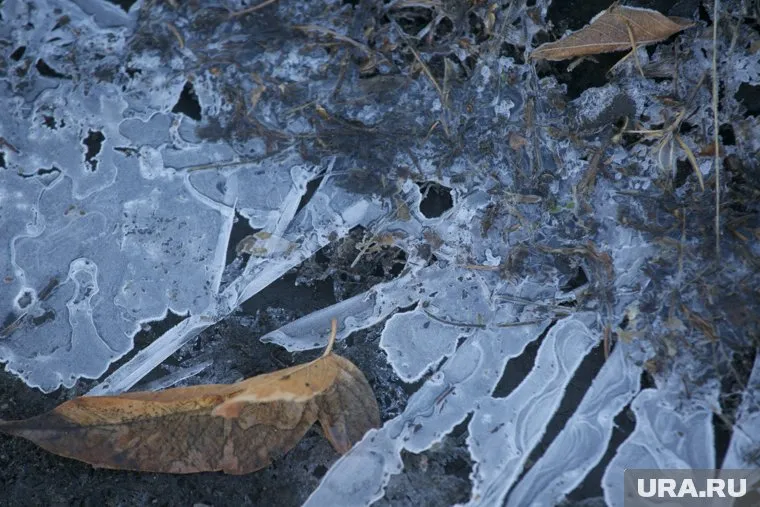 Заморозки продлили на один день 