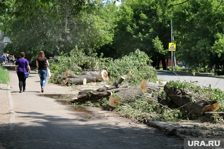 Проблемы благоустройства Кургана будут решать горожане