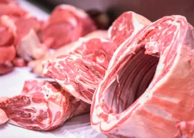 В Казахстан из Тюмени вывезли 10 тонн мяса и рыбы