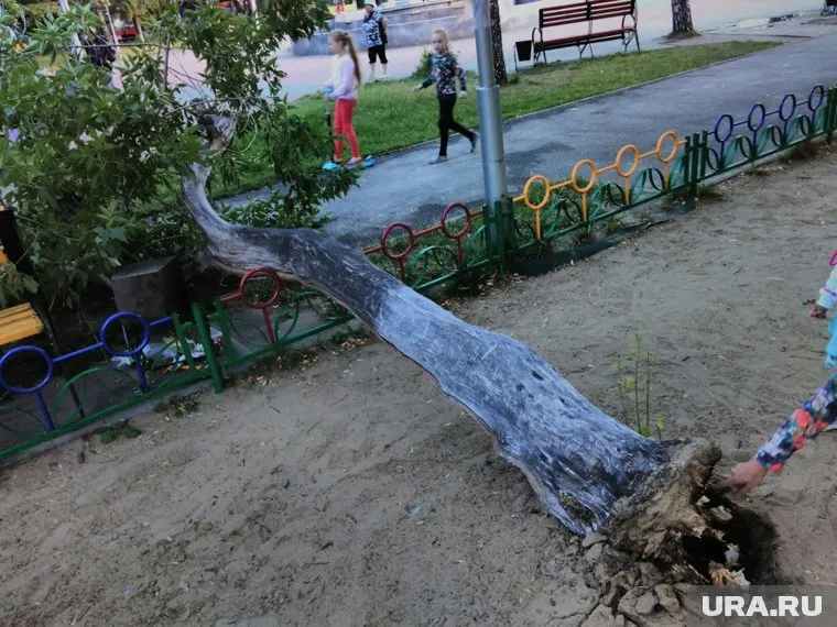 За обслуживание парка отвечает МУП "ЦПКиО"