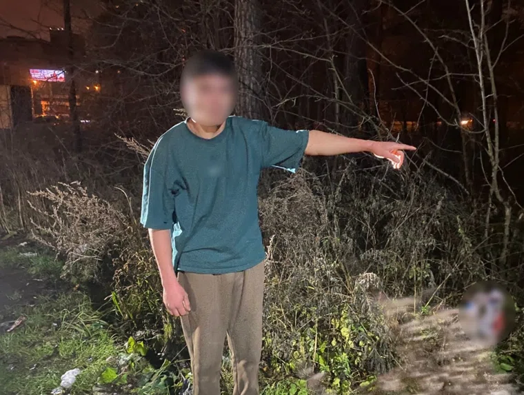 Обвиняемый 21-летний сын убитой