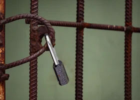 Фотография из галереи