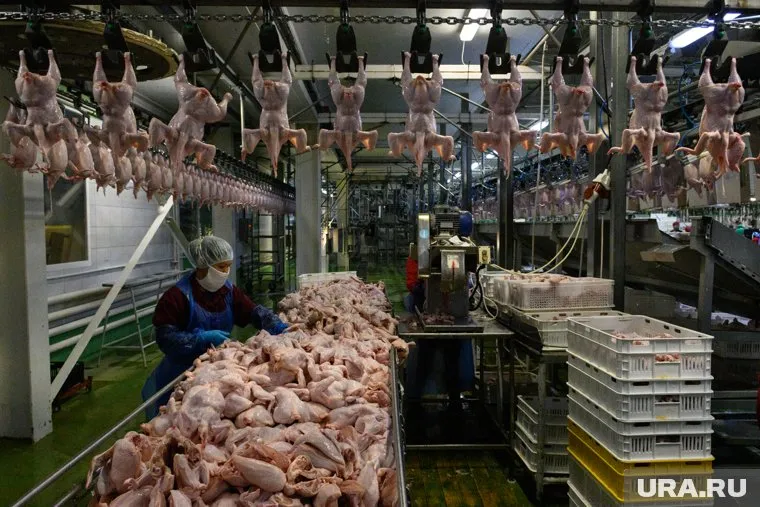 «Рефтинской» пришлось заплатить штраф за дочернее предприятие из-за позиции руководства