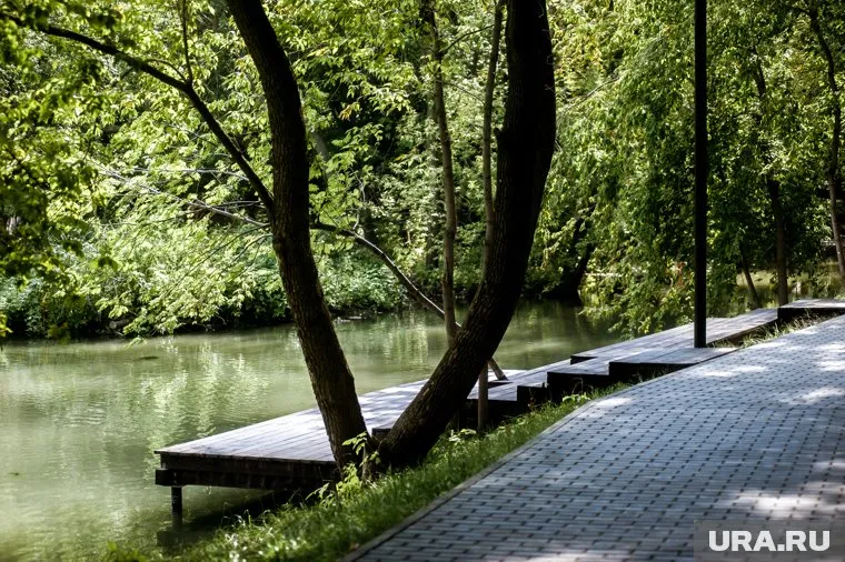 Зеленую зону в центре Екатеринбурга будет проектировать бюро из Германии