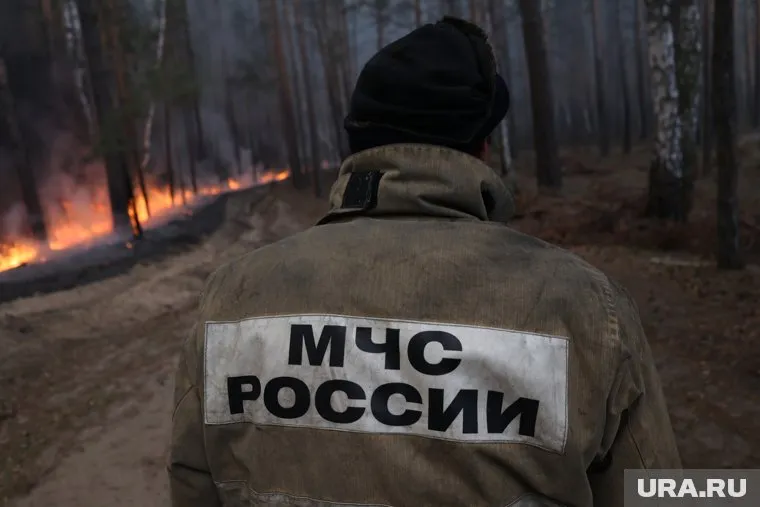 В Кондинском районе 11 действующих лесных пожаров