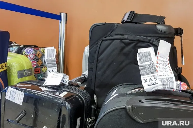 Всего в Курганскую область состоялось 591 тысяча поездок в период с января по ноябрь 2023 года