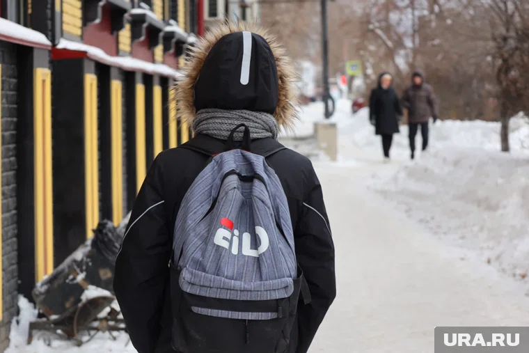 Мать вовлекла своего сына в преступную деятельность