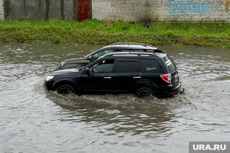 За день в Кургане выпало 73% месячной нормы дождя