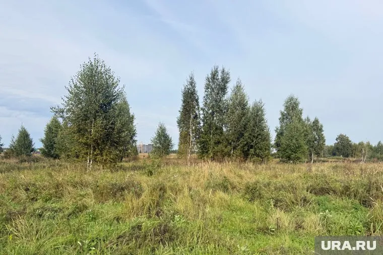 В Заозерном продают землю за 176,5 млн рублей под строительство ЖК