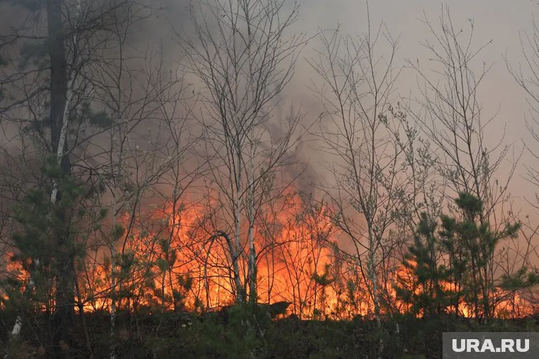Спасатели тушат пожар у трассы