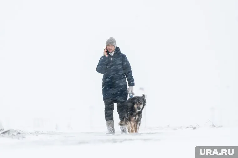 Метель и снегопад ухудшают видимость
