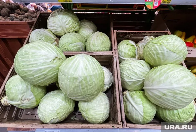 Овощи заблокировали на въезде из-за противоречий в документации 