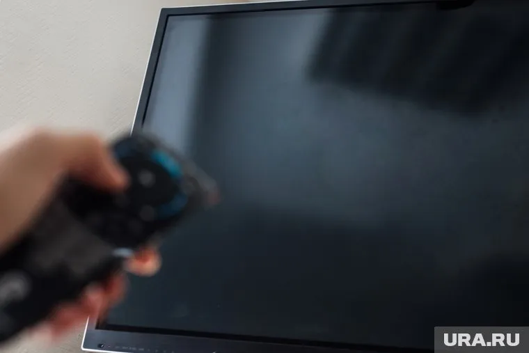 В социальных сетях объяснили, из чего состоит зарплата телеведущего