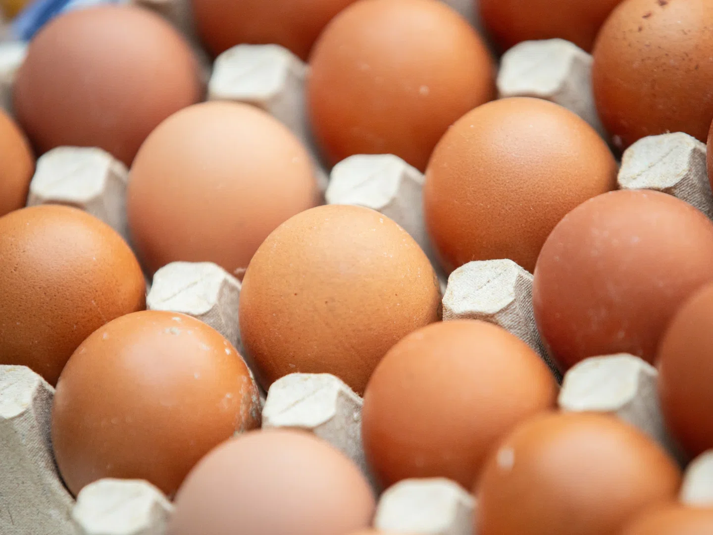 Яйца в июле стали самым подорожавшим продуктом в мире