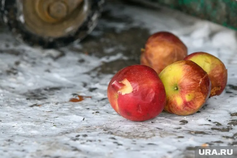 Несовершеннолетние кидались яблоками и грушами